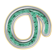 025