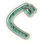 058