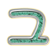117