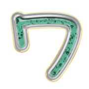 124