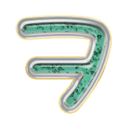 125