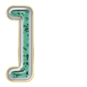241