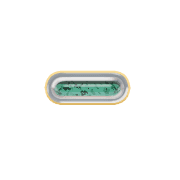 251