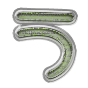 003