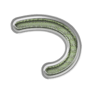 018