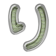 040