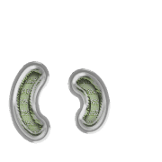 048