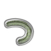 052