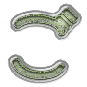060