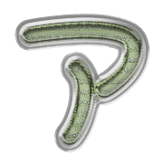 081