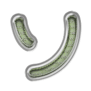 095