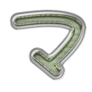 111