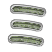 112