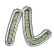 121