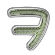 125