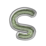 206