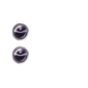 244
