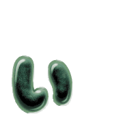 048