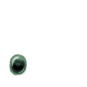 246