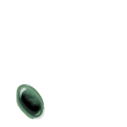 256