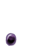 246