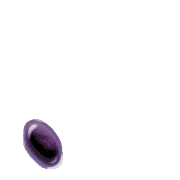256