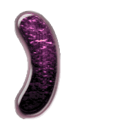 235