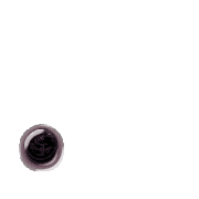 246