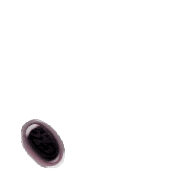 256