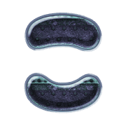 010