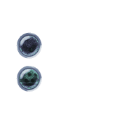 244