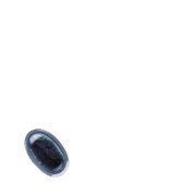256