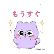 010
