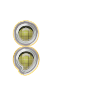 243