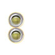 244