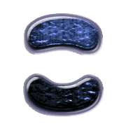 010
