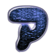 081