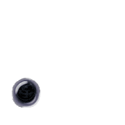 246