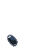 256