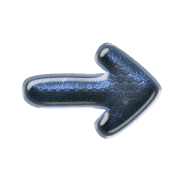262