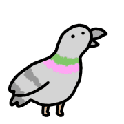 004