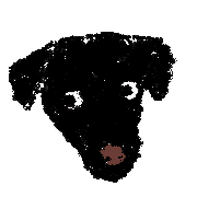 003
