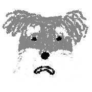 005
