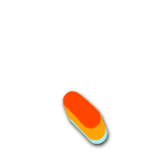 256