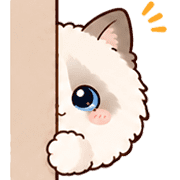 011