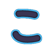 010
