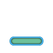 250