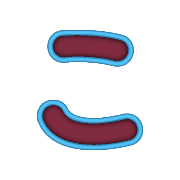 010