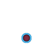 246