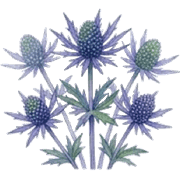 012